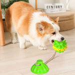 rubber dog squeaky tug ball toy with suction