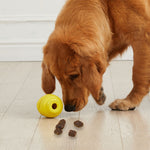 Kong classic | dog food dispenser toy